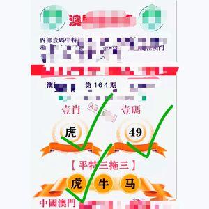 （2020澳门精准资料通关查询）