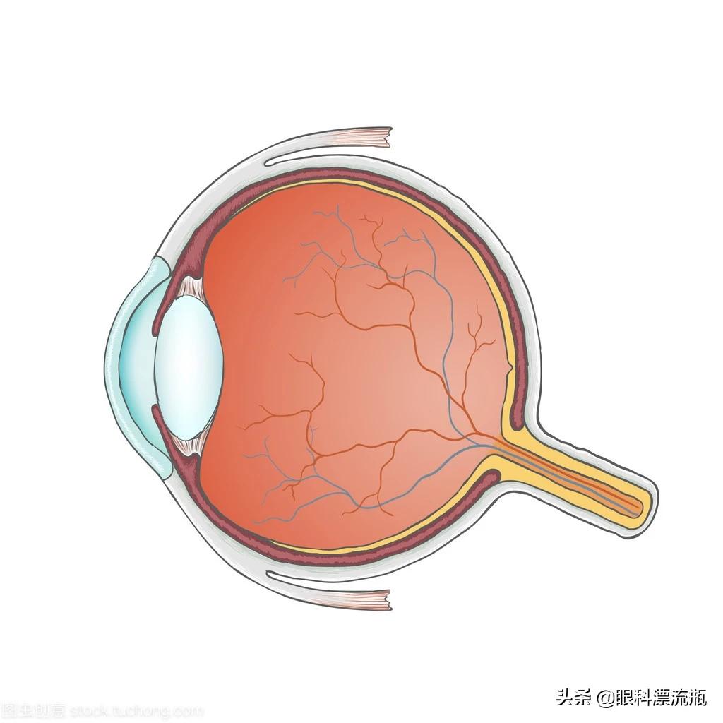 眼结膜破裂会自愈吗，眼结膜破裂会自愈吗图片